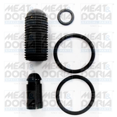Repair Kit, unit injector
